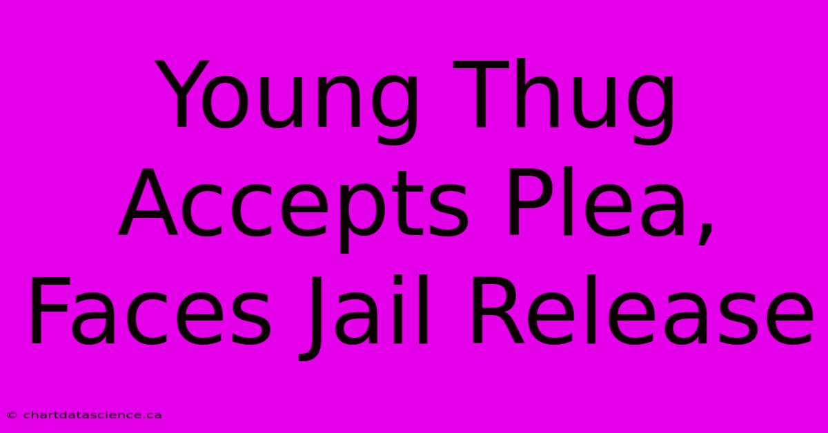 Young Thug Accepts Plea, Faces Jail Release