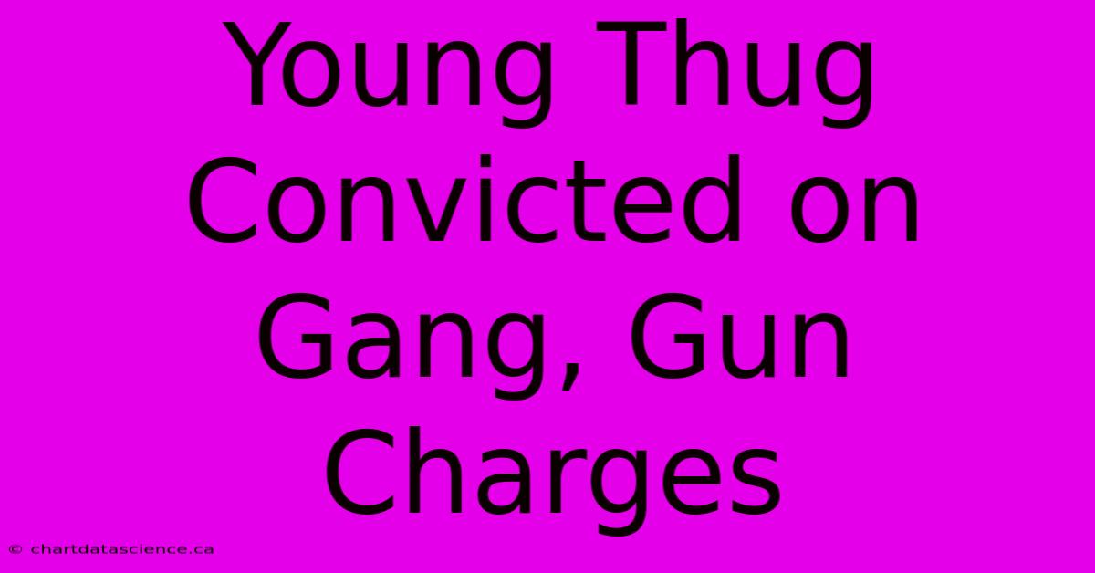 Young Thug Convicted On Gang, Gun Charges