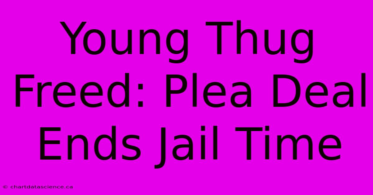 Young Thug Freed: Plea Deal Ends Jail Time