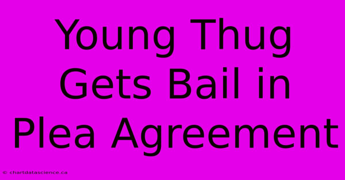 Young Thug Gets Bail In Plea Agreement 