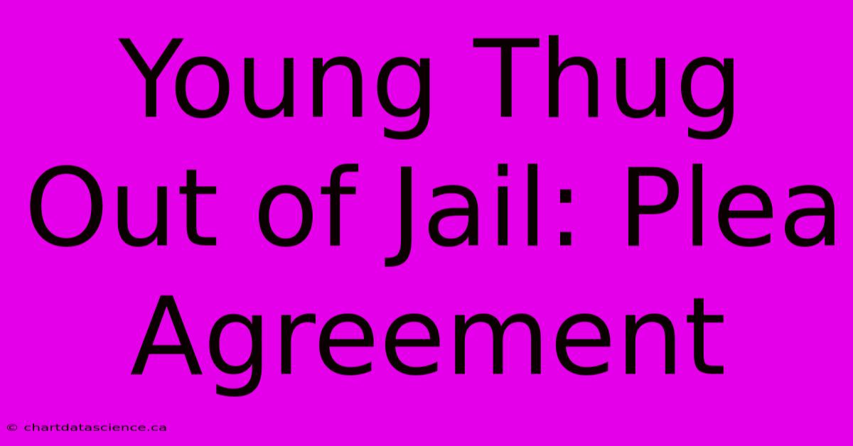 Young Thug Out Of Jail: Plea Agreement