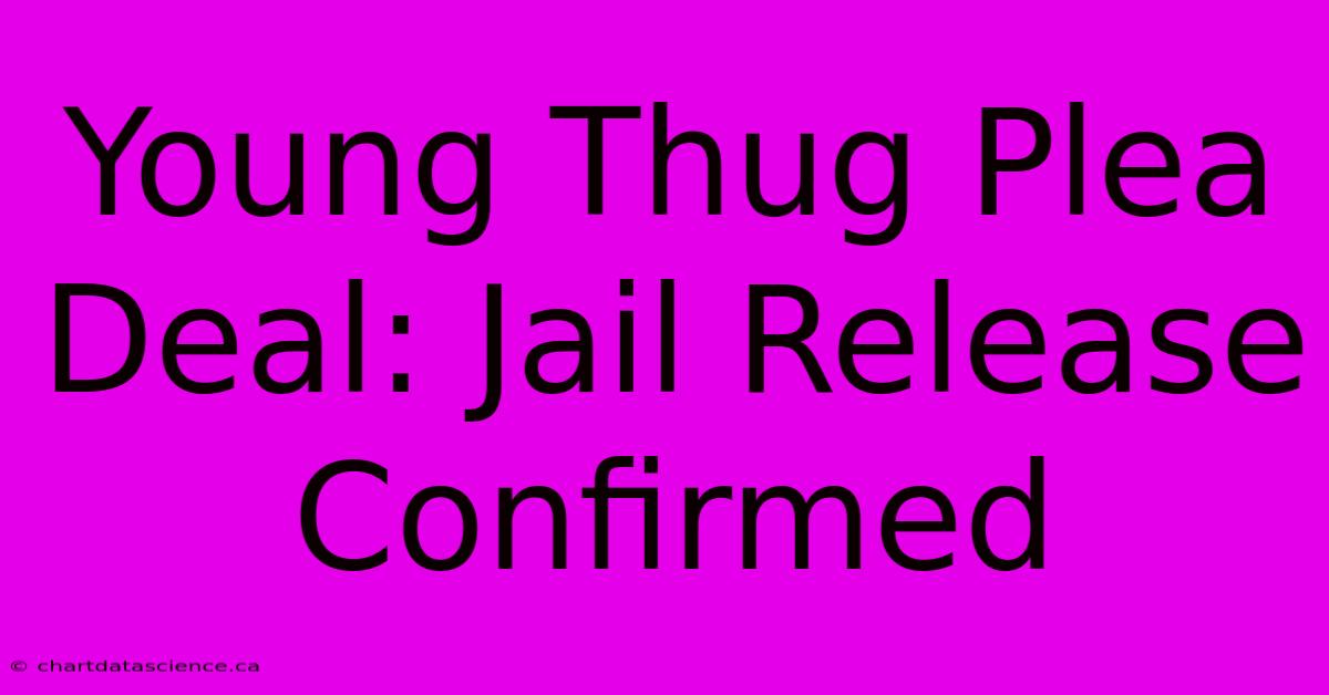 Young Thug Plea Deal: Jail Release Confirmed