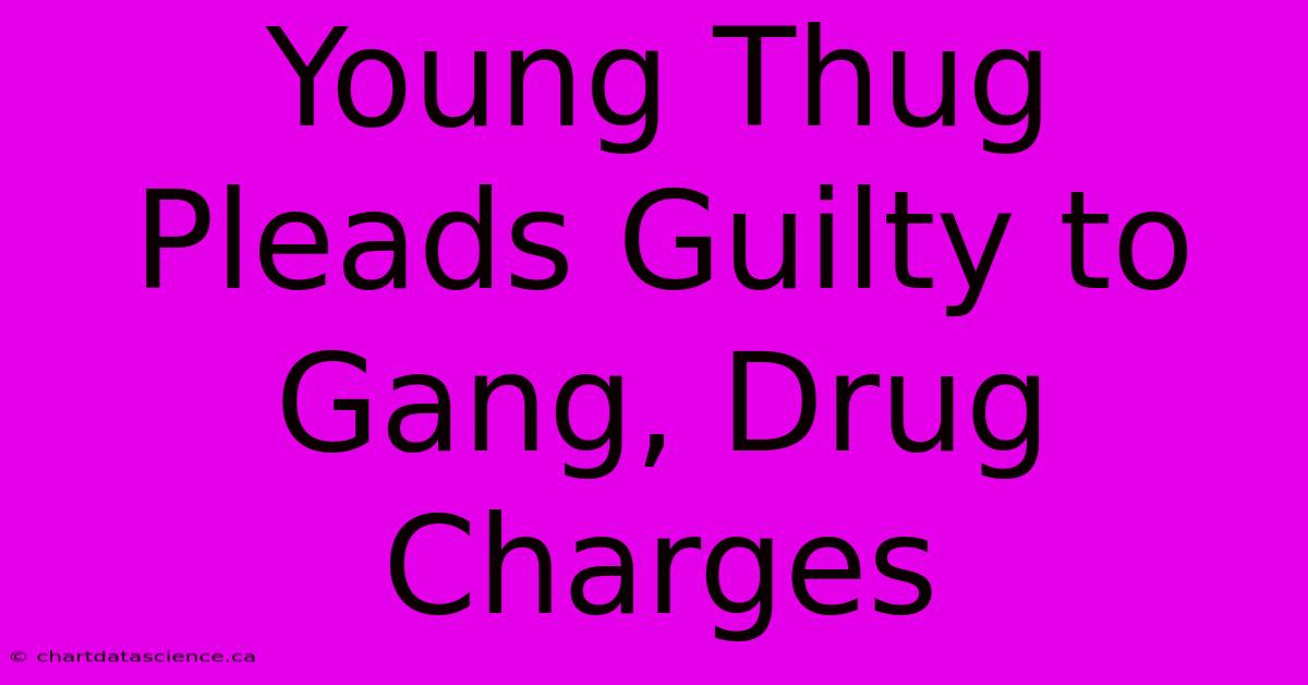 Young Thug Pleads Guilty To Gang, Drug Charges