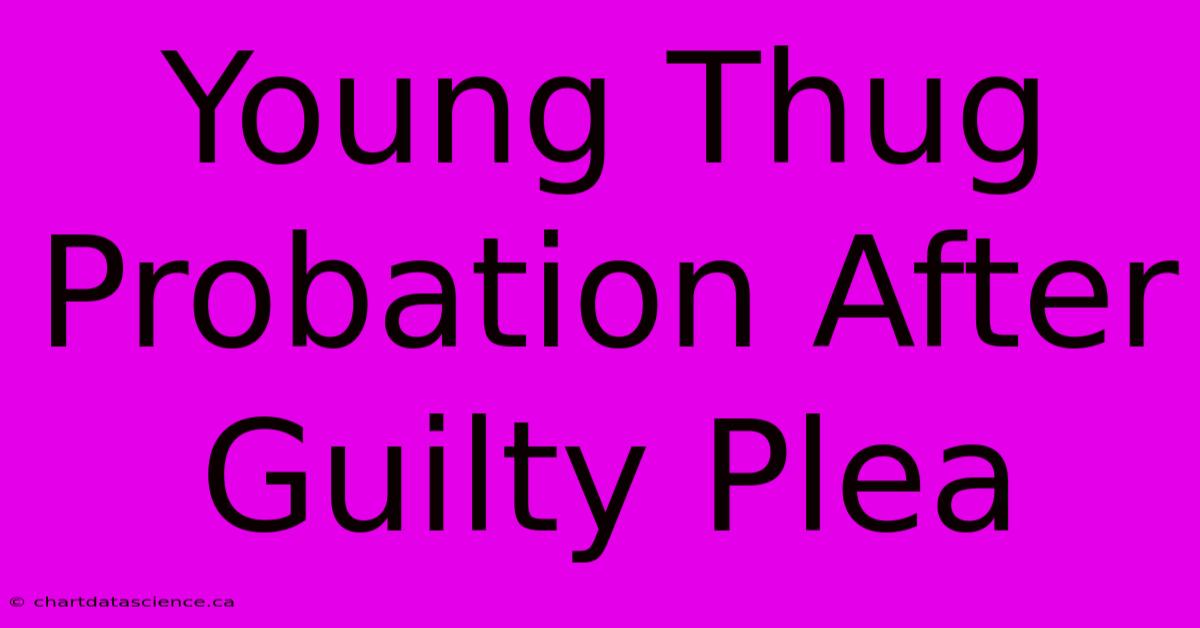 Young Thug Probation After Guilty Plea