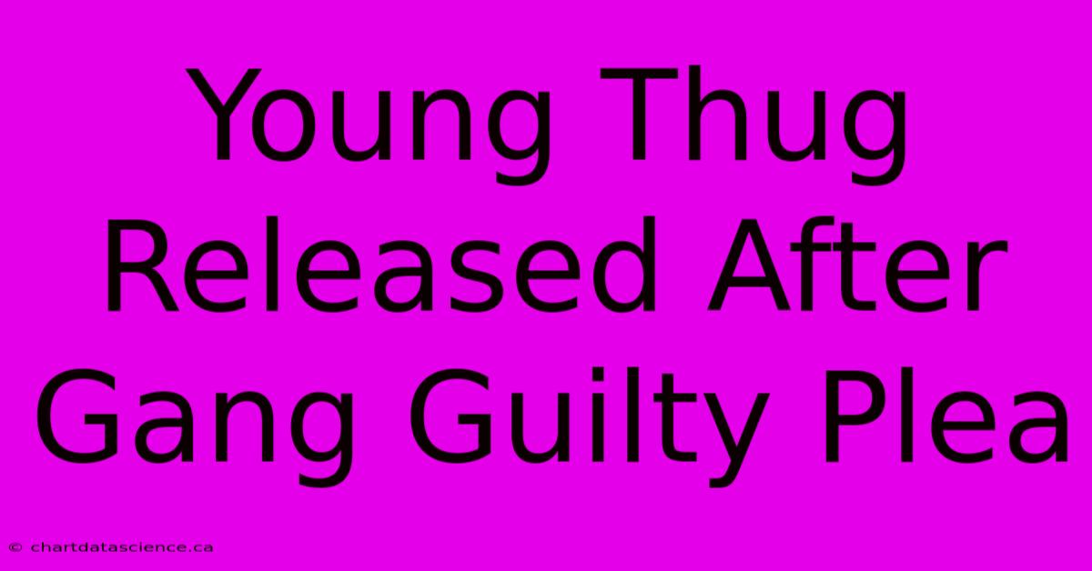 Young Thug Released After Gang Guilty Plea