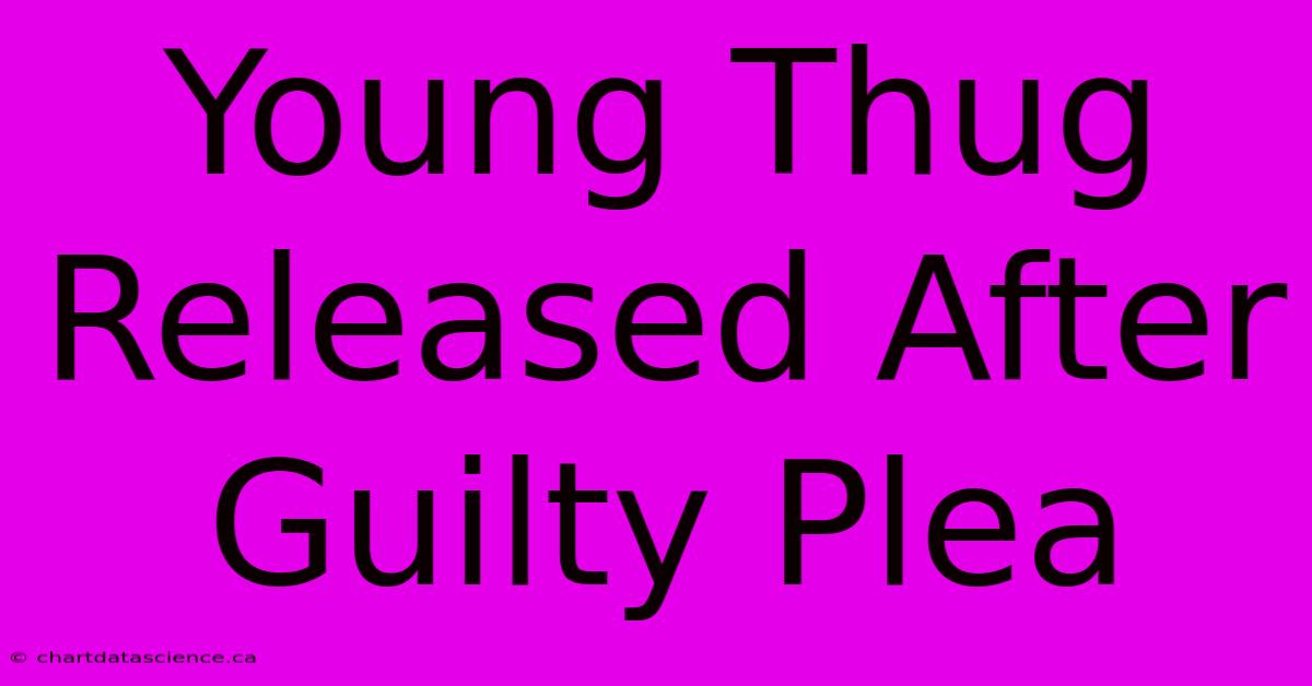 Young Thug Released After Guilty Plea