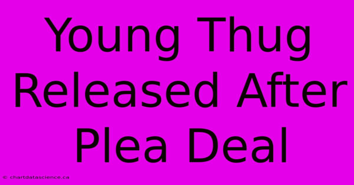 Young Thug Released After Plea Deal