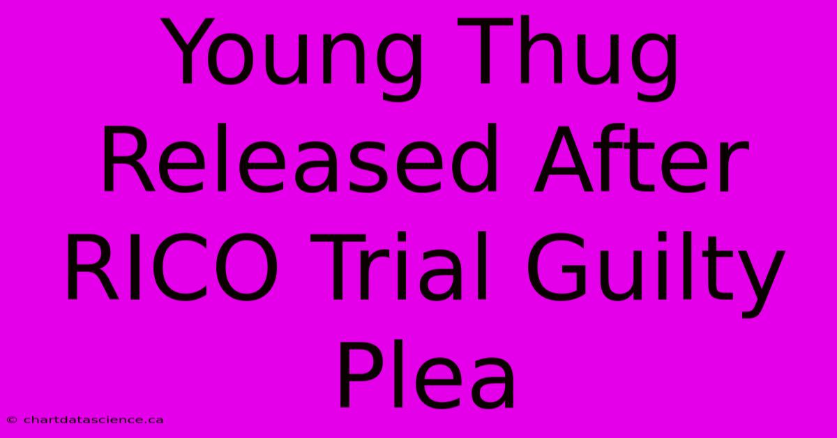 Young Thug Released After RICO Trial Guilty Plea 