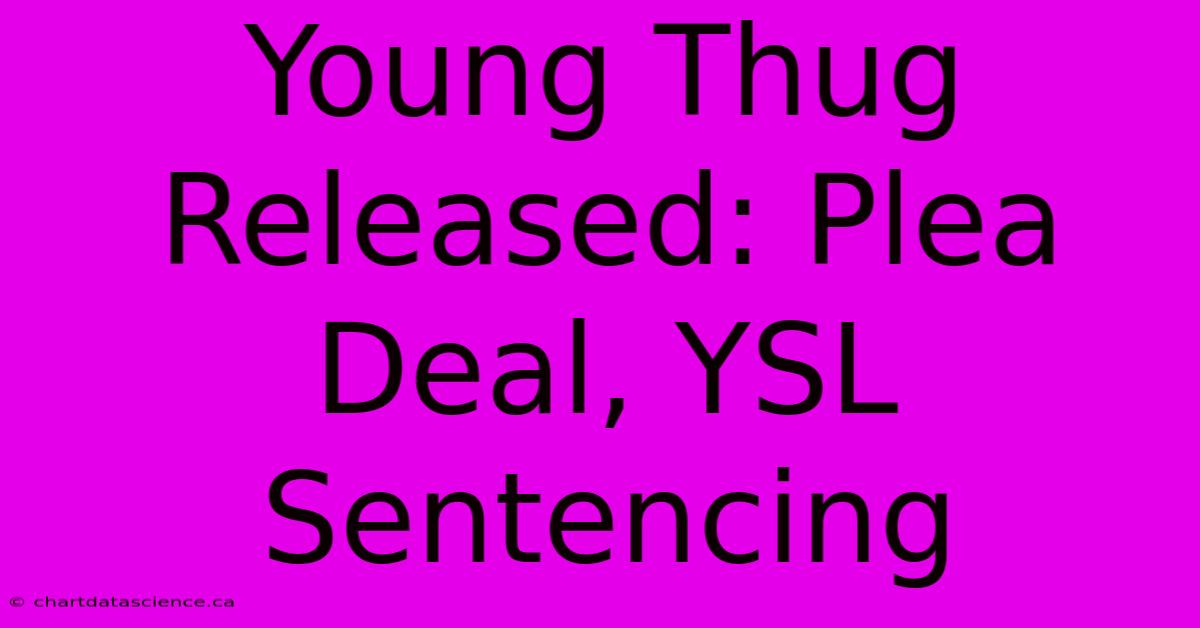 Young Thug Released: Plea Deal, YSL Sentencing