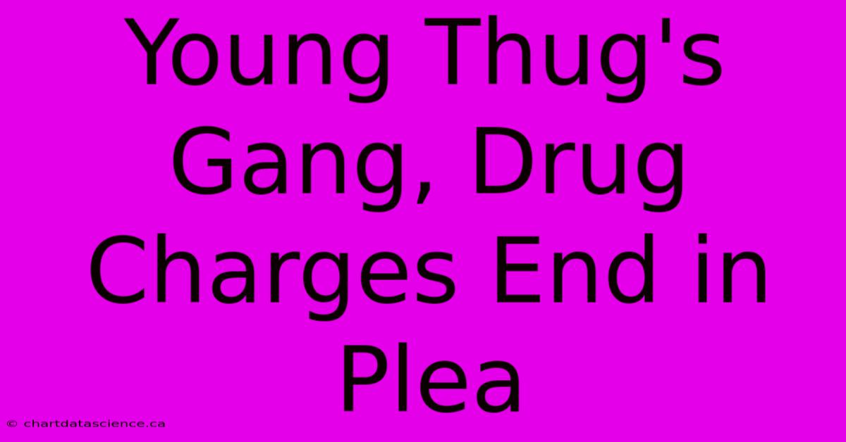 Young Thug's Gang, Drug Charges End In Plea