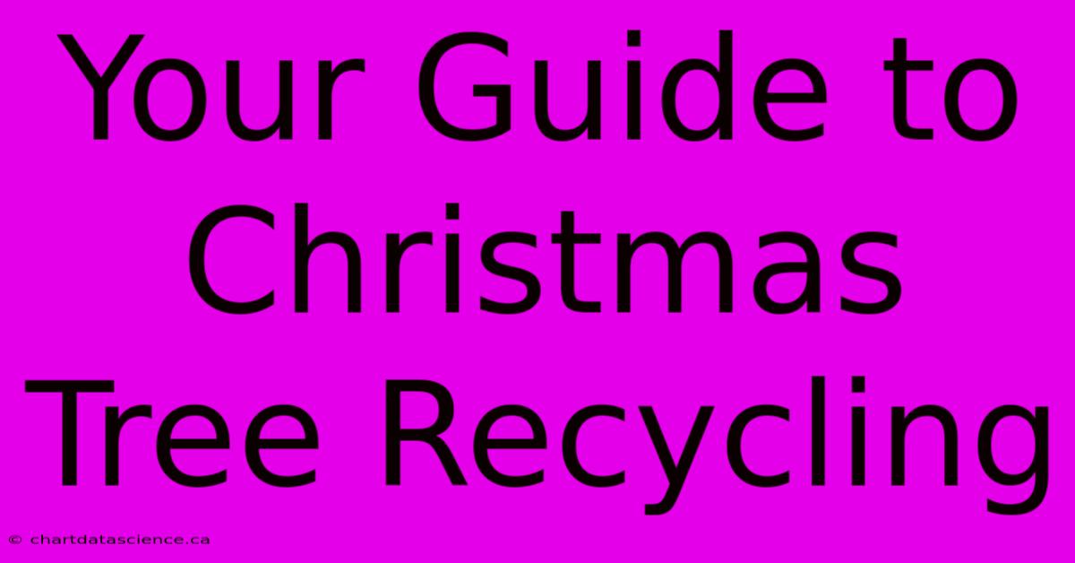 Your Guide To Christmas Tree Recycling