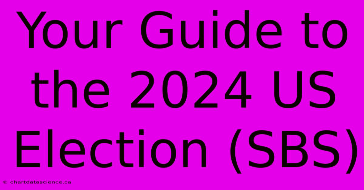 Your Guide To The 2024 US Election (SBS)