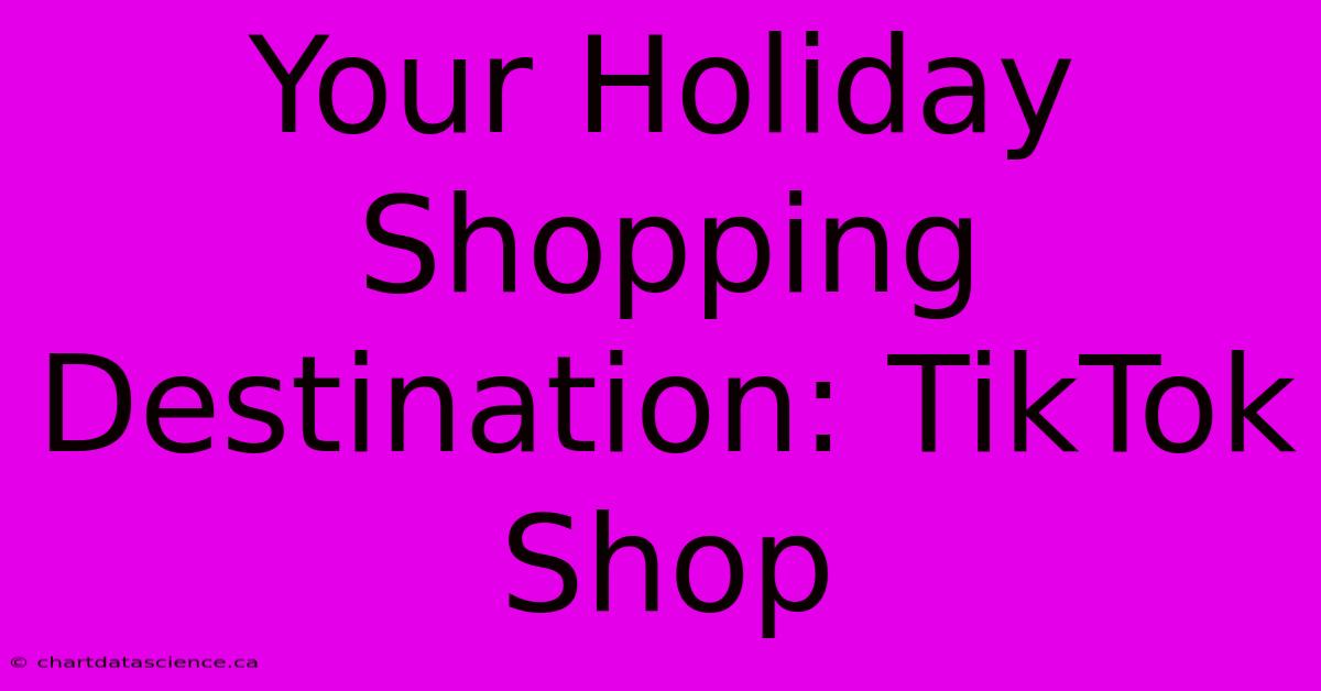 Your Holiday Shopping Destination: TikTok Shop