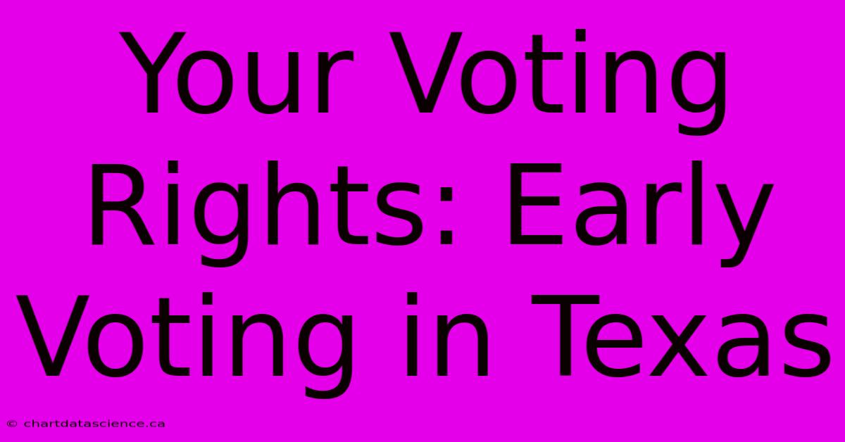 Your Voting Rights: Early Voting In Texas 