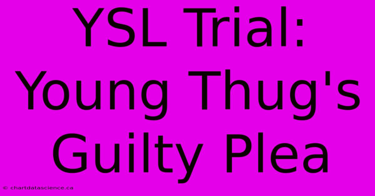 YSL Trial: Young Thug's Guilty Plea