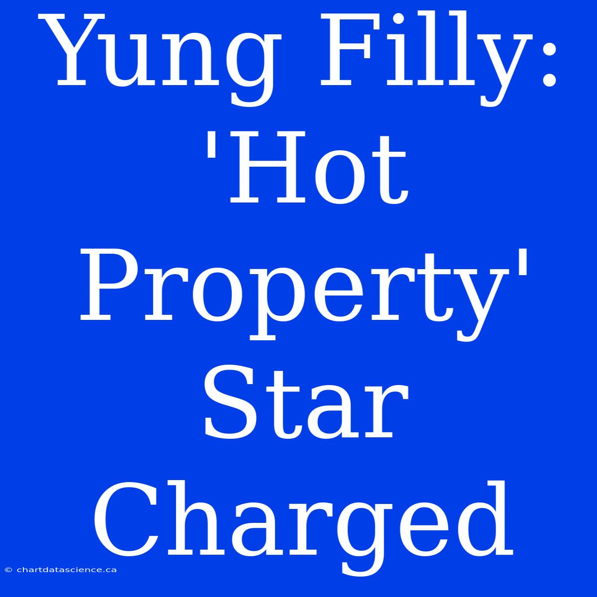 Yung Filly: 'Hot Property' Star Charged