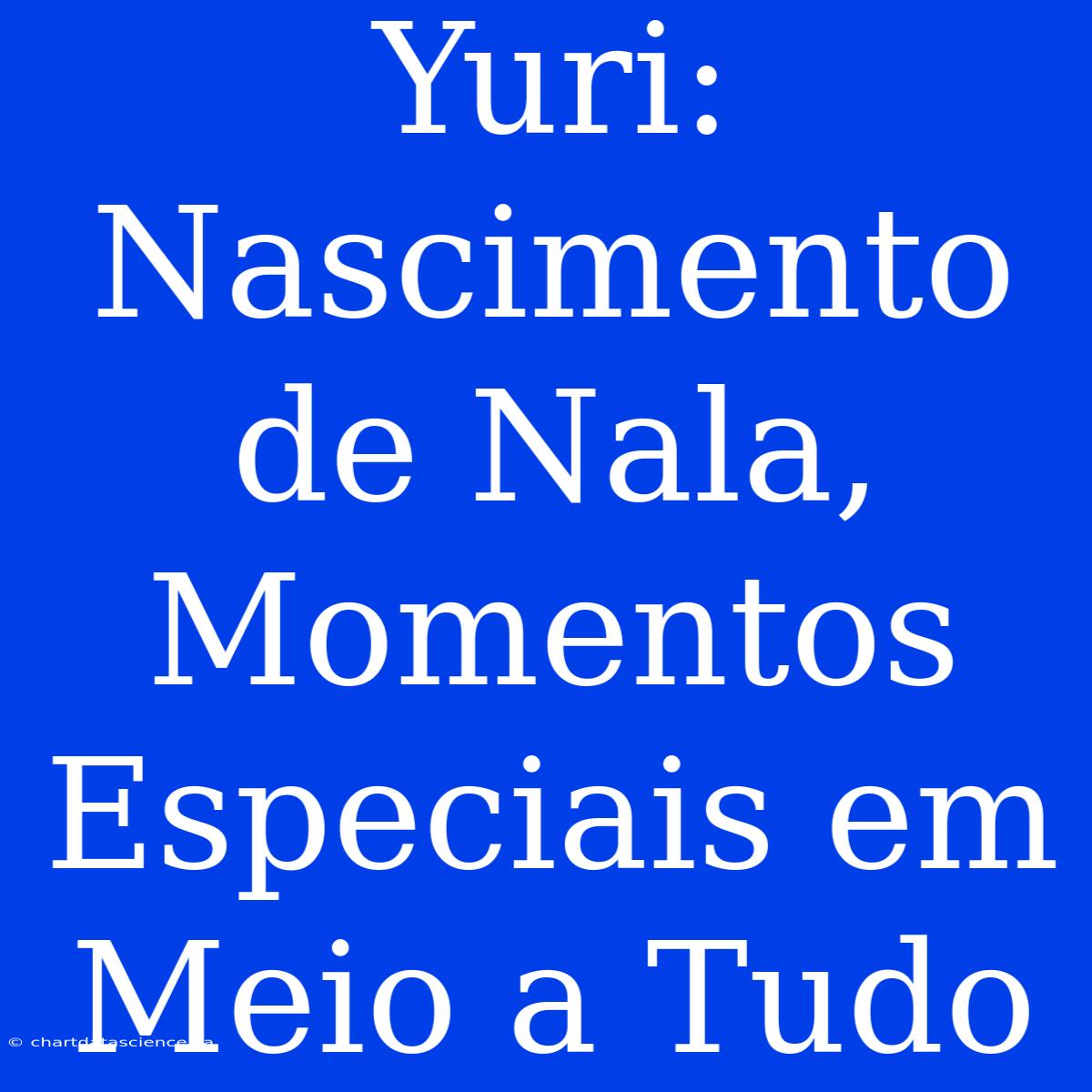 Yuri: Nascimento De Nala, Momentos Especiais Em Meio A Tudo