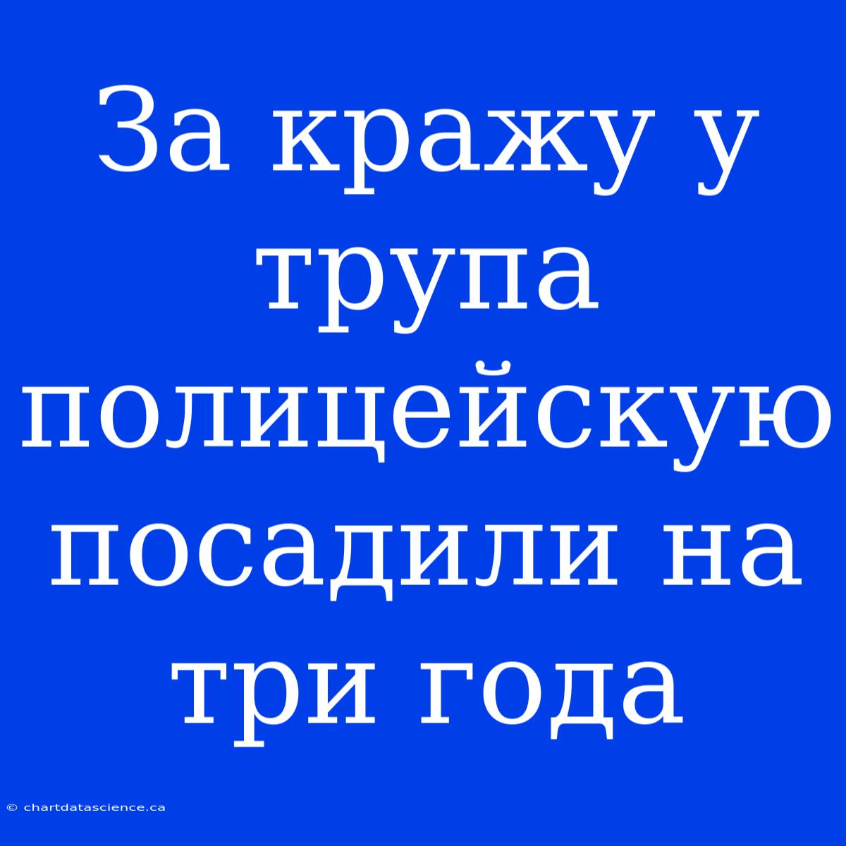 За Кражу У Трупа Полицейскую Посадили На Три Года