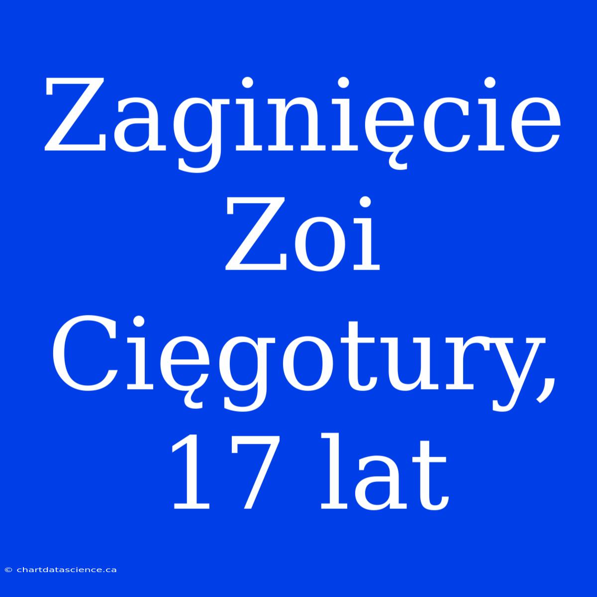 Zaginięcie Zoi Cięgotury, 17 Lat