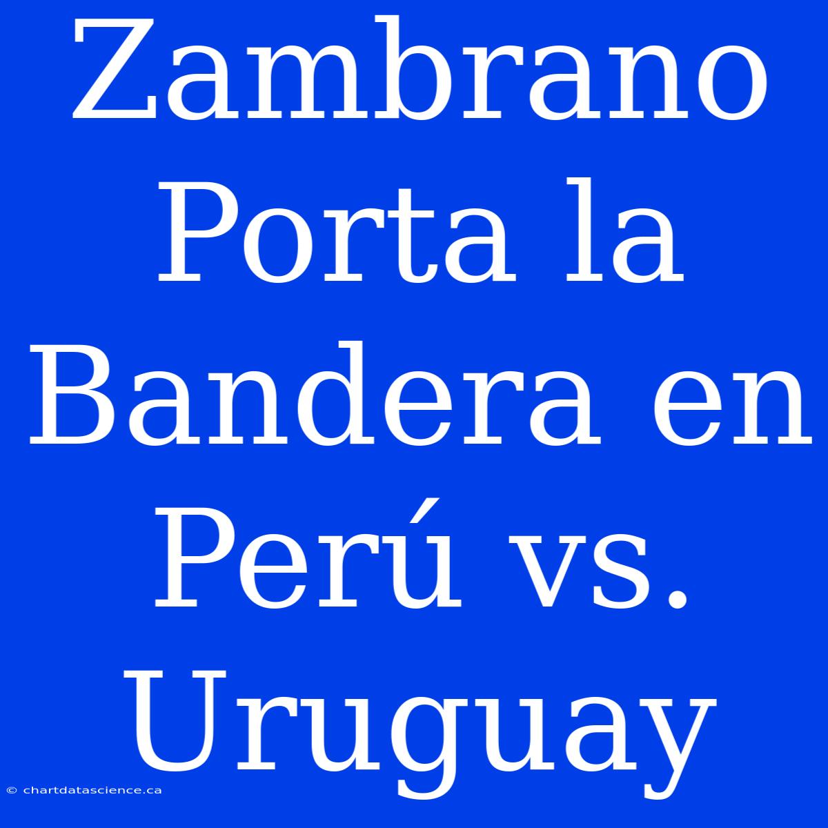 Zambrano Porta La Bandera En Perú Vs. Uruguay