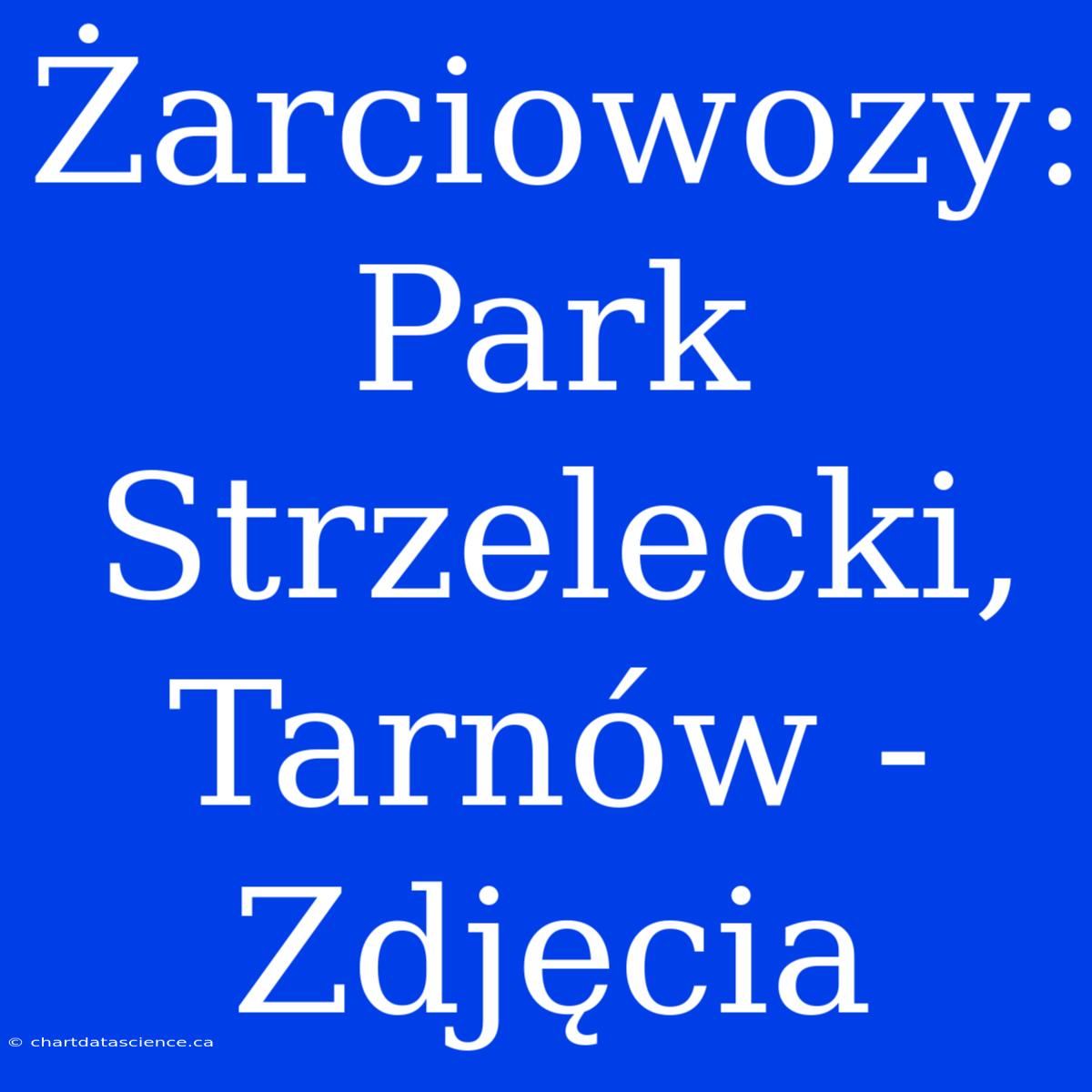 Żarciowozy: Park Strzelecki, Tarnów - Zdjęcia