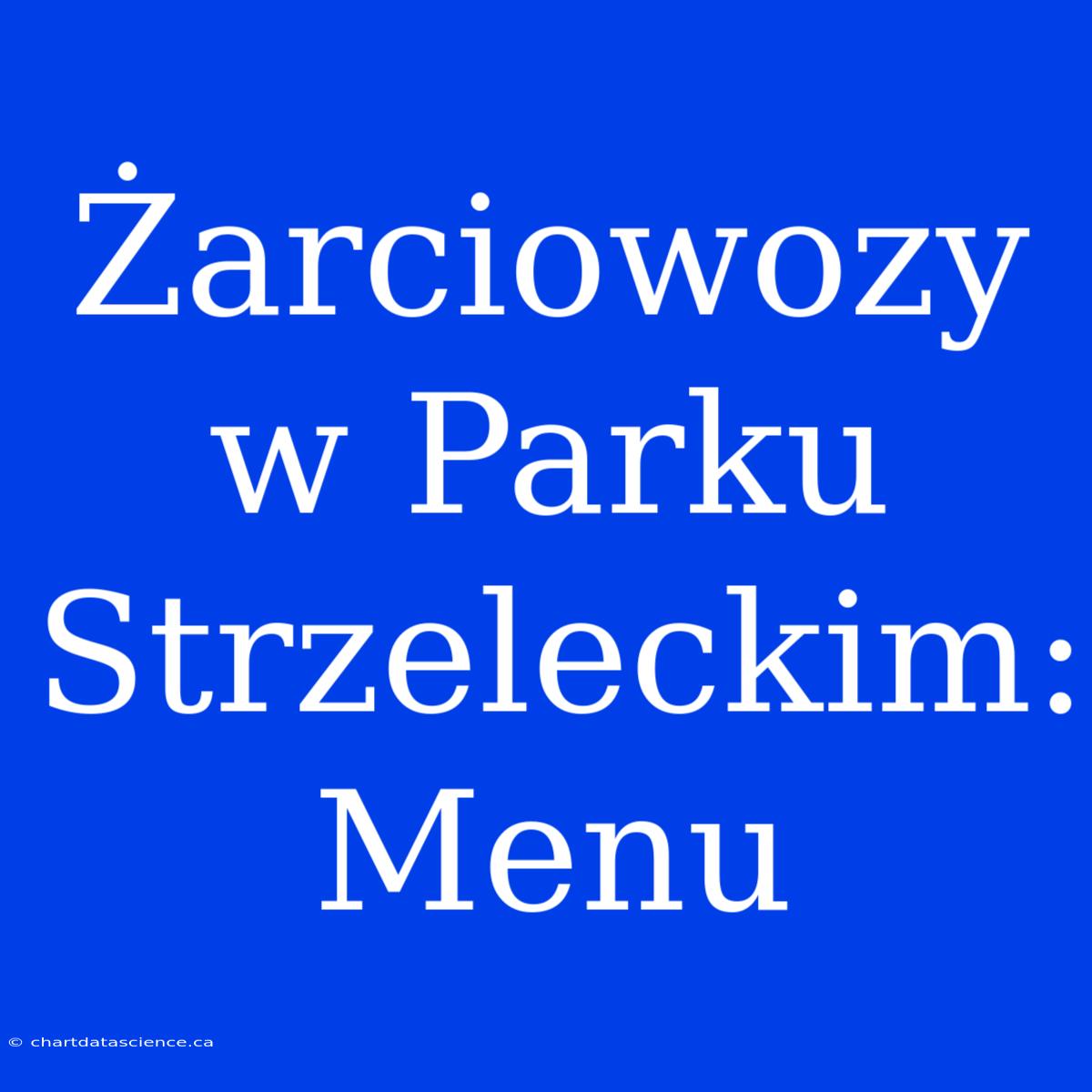 Żarciowozy W Parku Strzeleckim: Menu