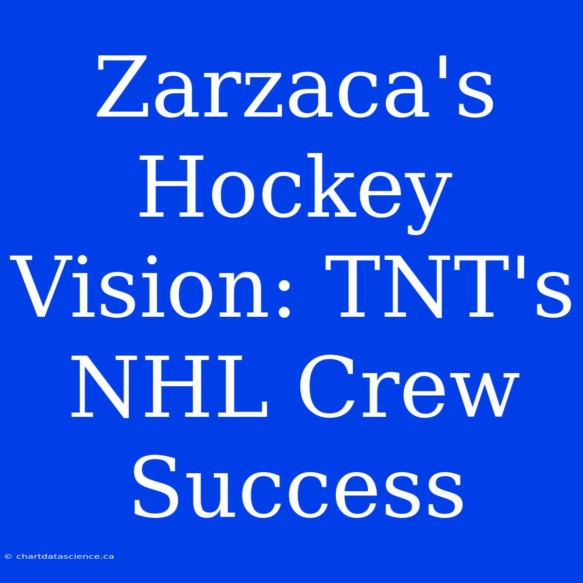 Zarzaca's Hockey Vision: TNT's NHL Crew Success