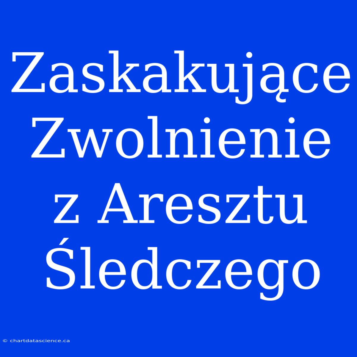 Zaskakujące Zwolnienie Z Aresztu Śledczego