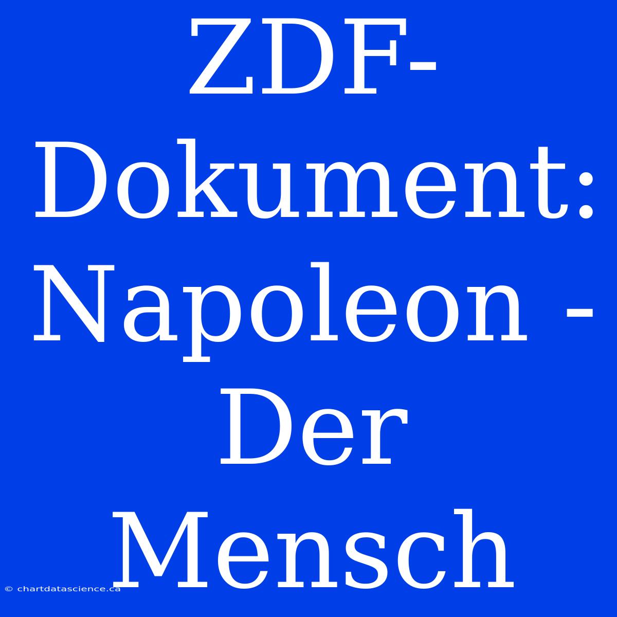 ZDF-Dokument: Napoleon - Der Mensch