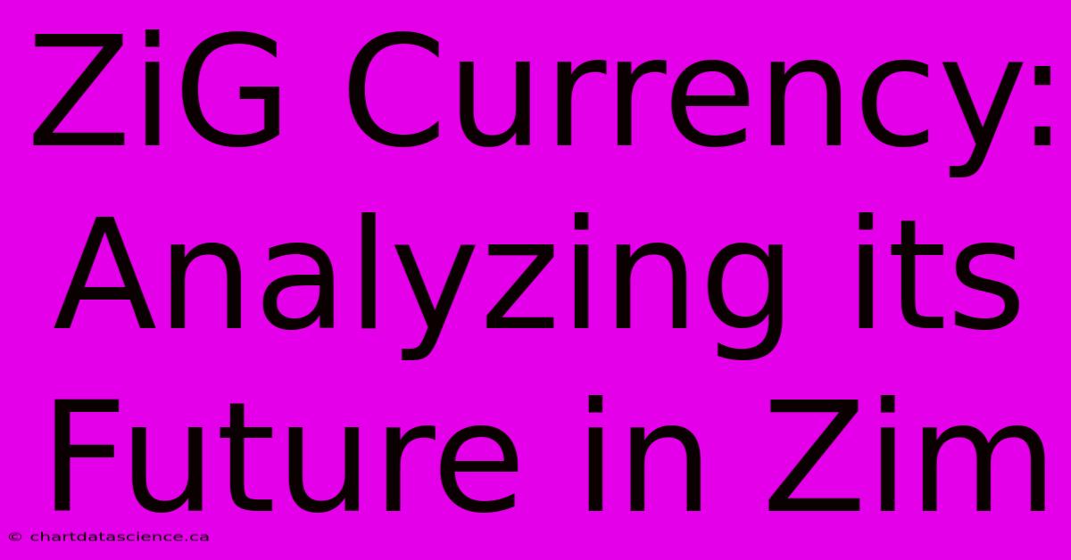 ZiG Currency:  Analyzing Its Future In Zim