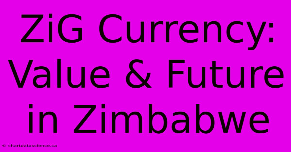 ZiG Currency: Value & Future In Zimbabwe