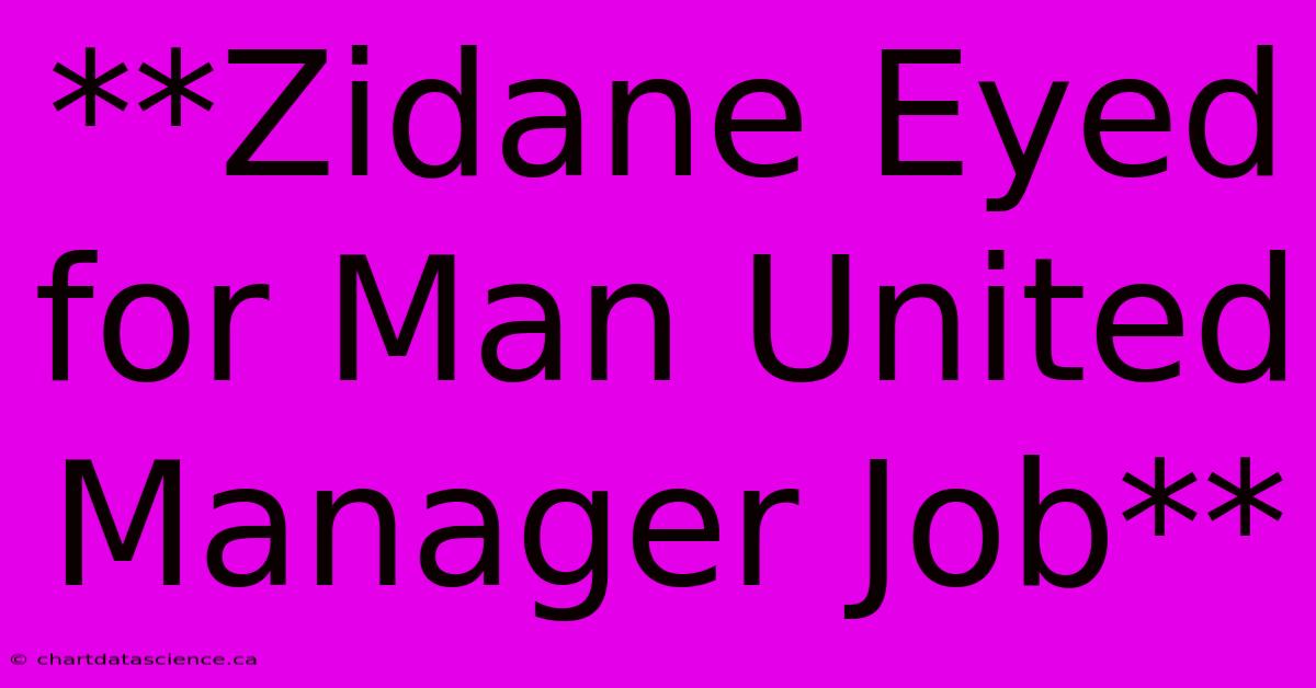 **Zidane Eyed For Man United Manager Job** 