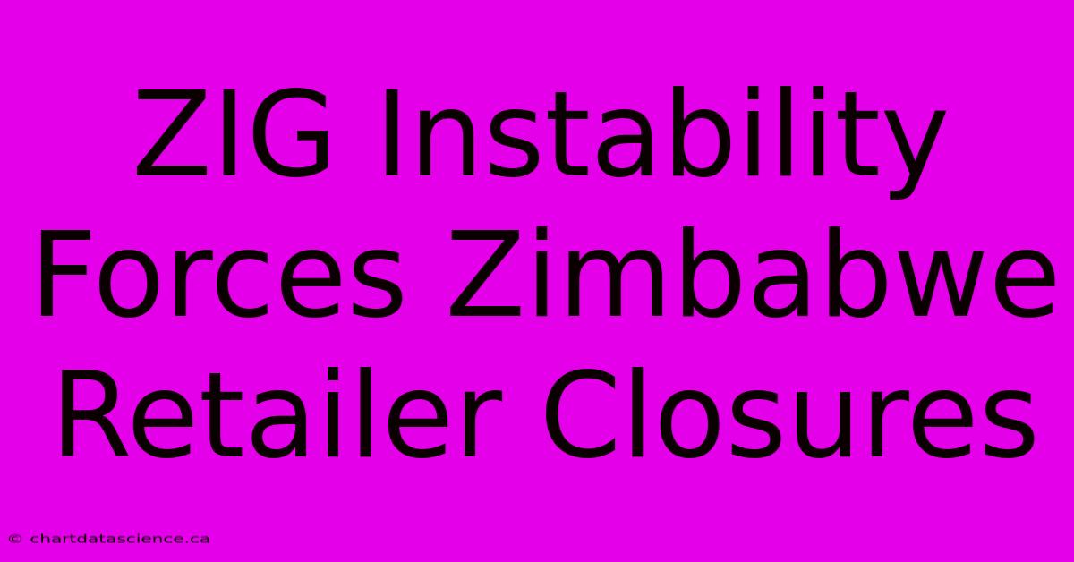 ZIG Instability Forces Zimbabwe Retailer Closures