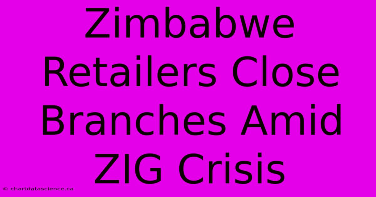 Zimbabwe Retailers Close Branches Amid ZIG Crisis