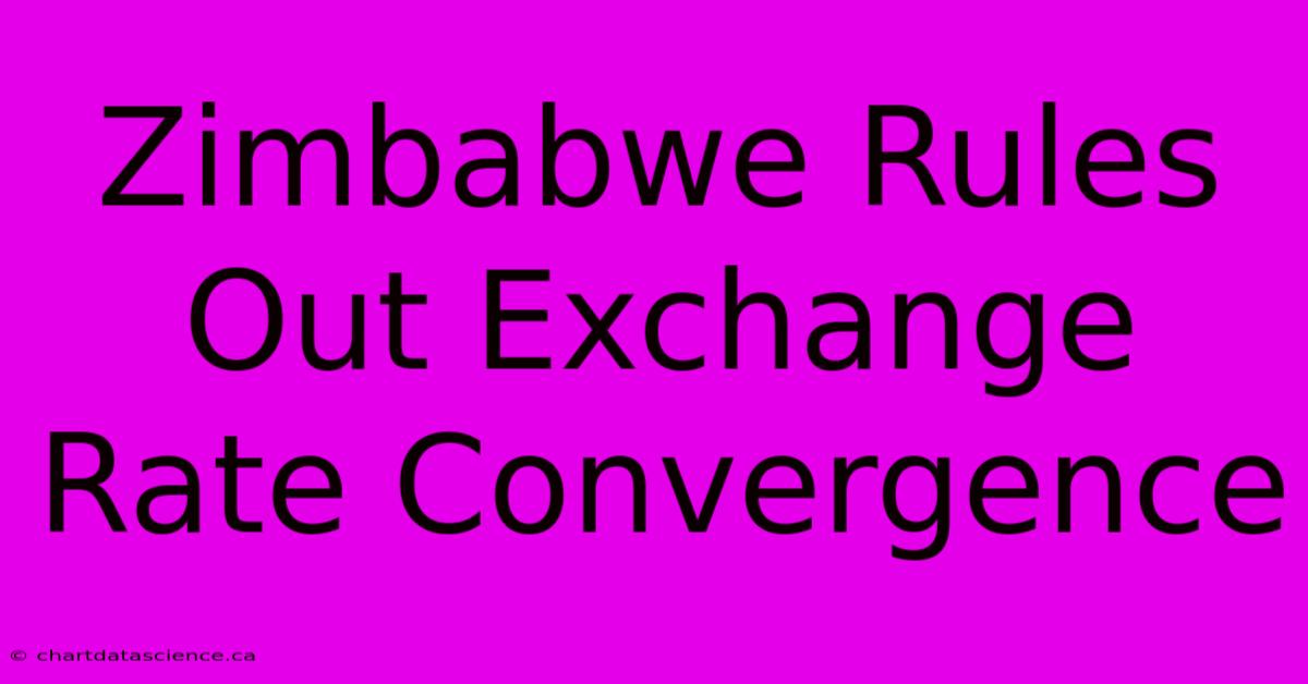 Zimbabwe Rules Out Exchange Rate Convergence