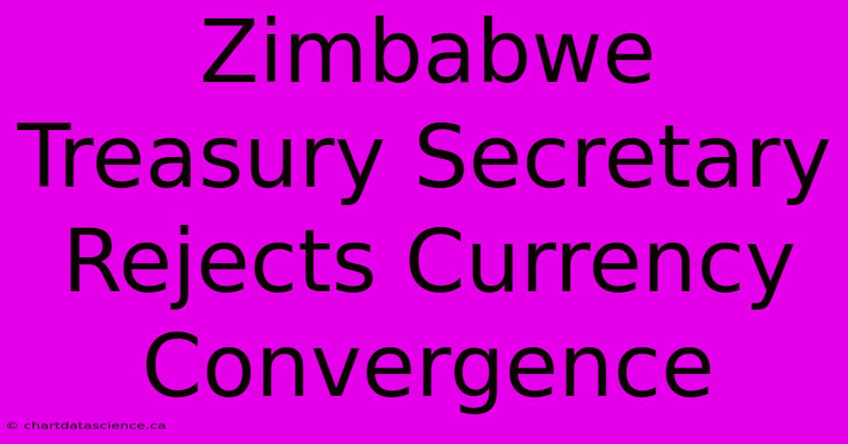 Zimbabwe Treasury Secretary Rejects Currency Convergence