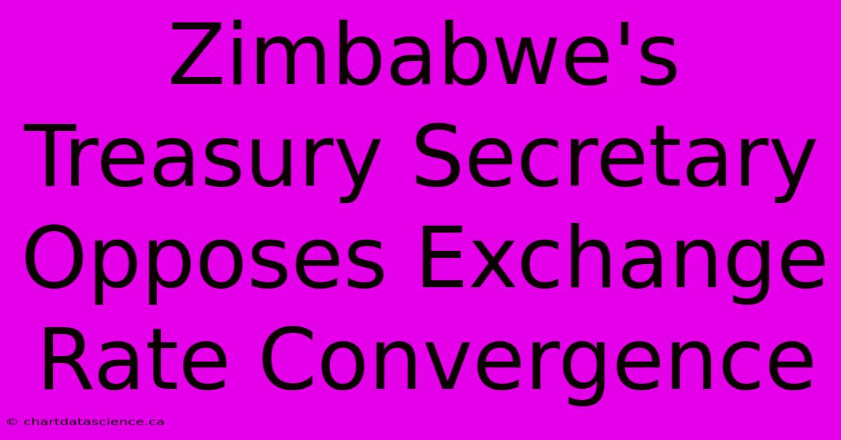 Zimbabwe's Treasury Secretary Opposes Exchange Rate Convergence 