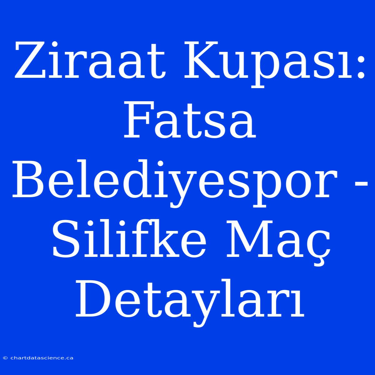 Ziraat Kupası: Fatsa Belediyespor - Silifke Maç Detayları