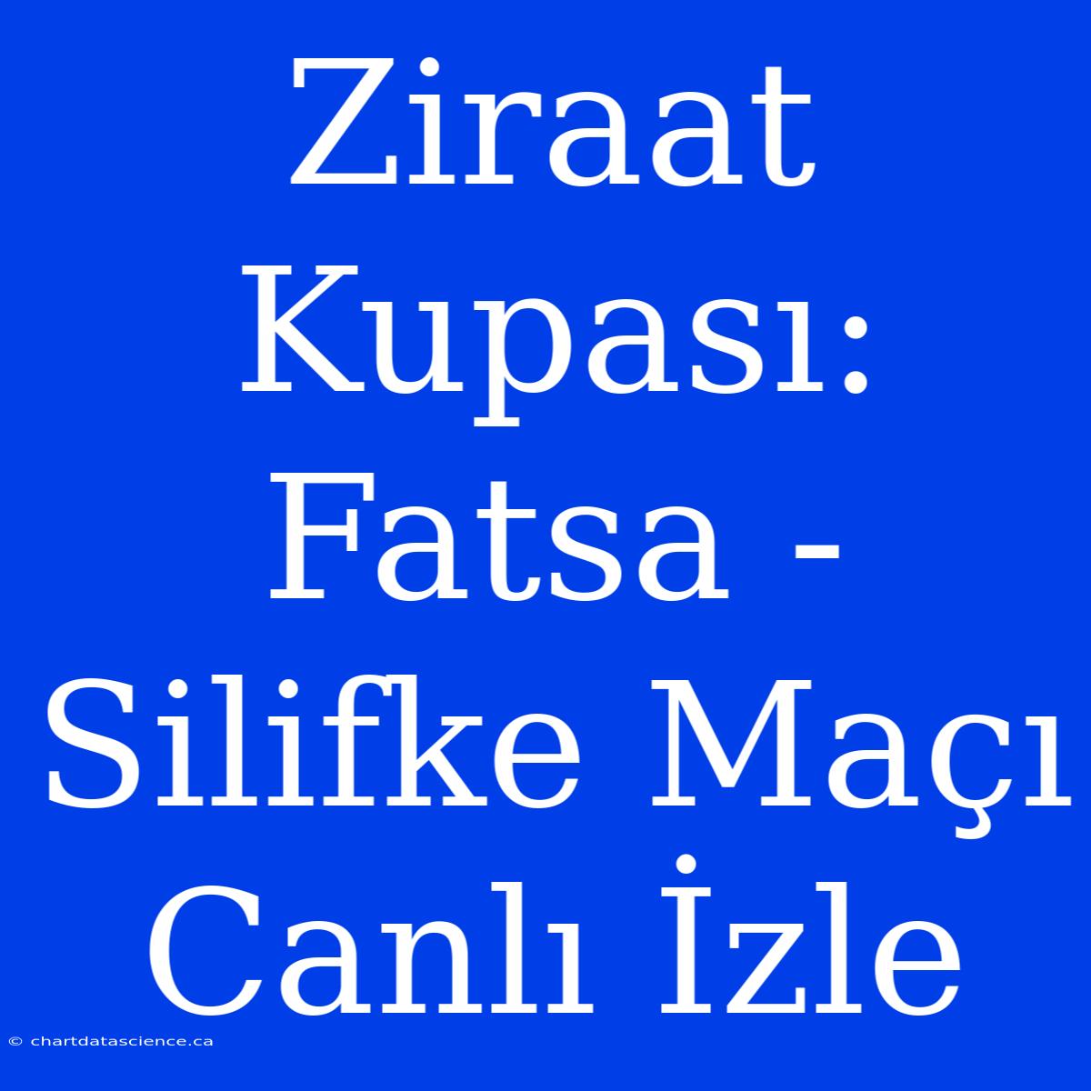 Ziraat Kupası: Fatsa - Silifke Maçı Canlı İzle