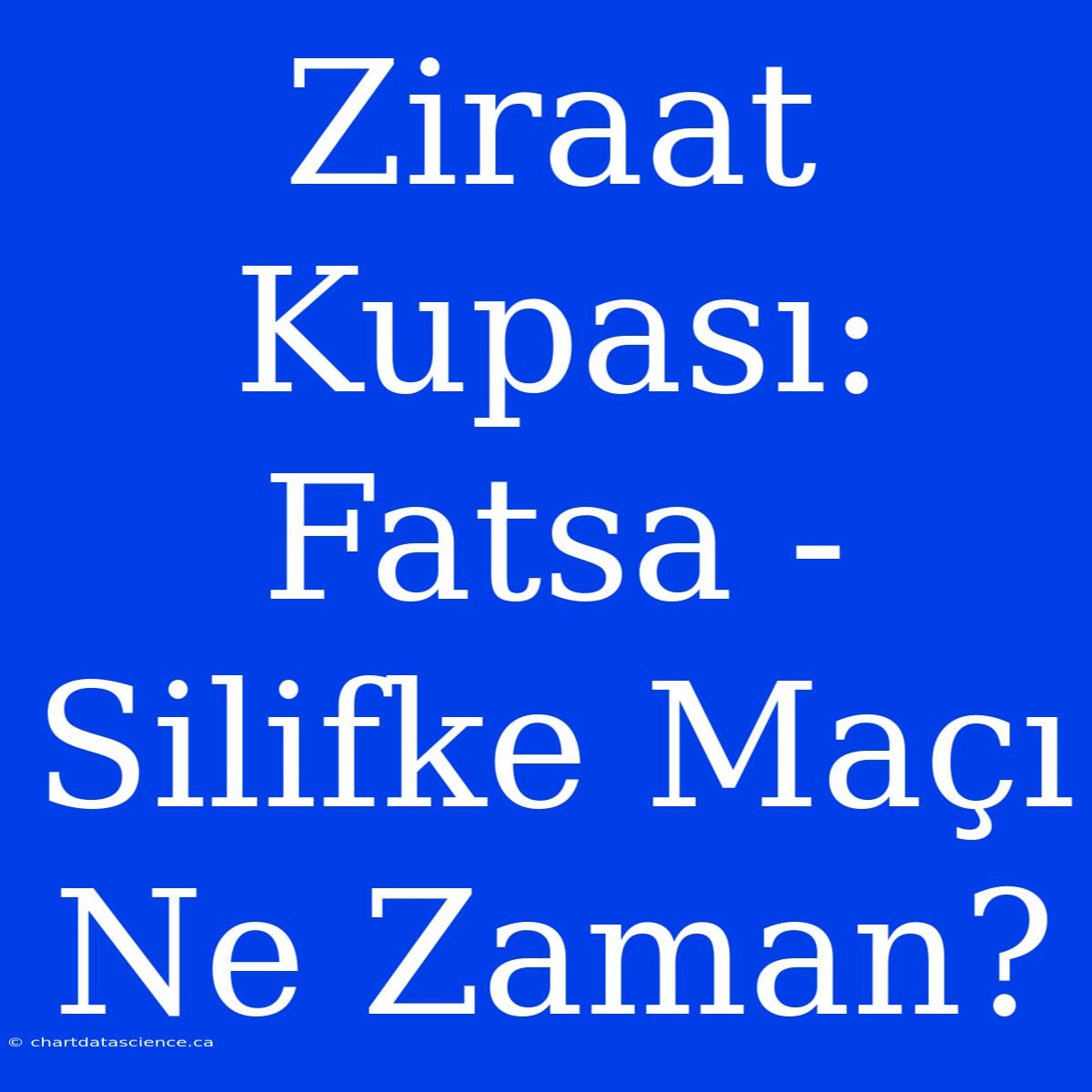 Ziraat Kupası: Fatsa - Silifke Maçı Ne Zaman?