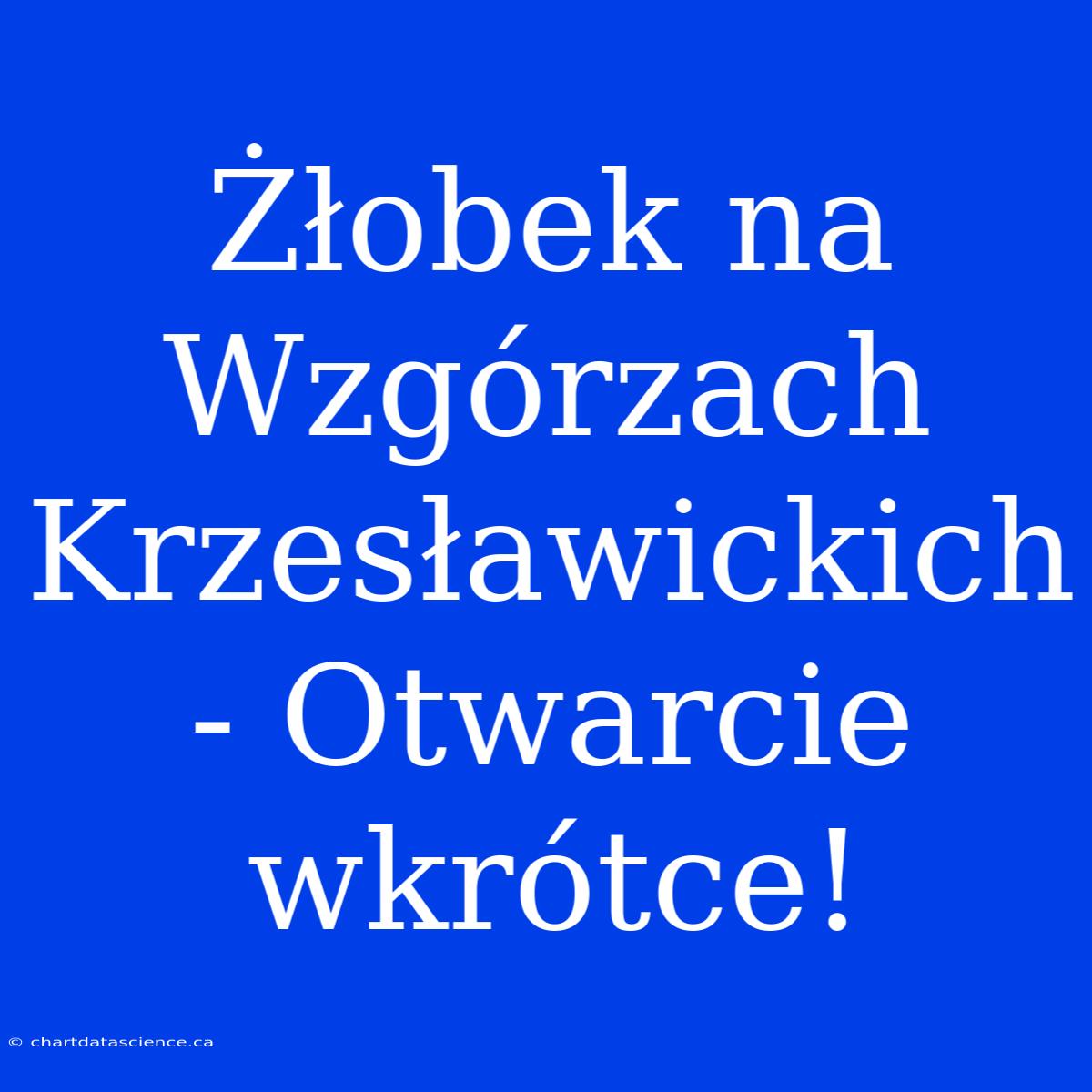 Żłobek Na Wzgórzach Krzesławickich - Otwarcie Wkrótce!