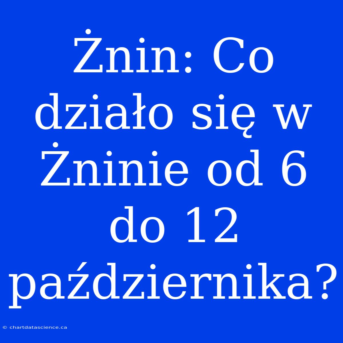 Żnin: Co Działo Się W Żninie Od 6 Do 12 Października?