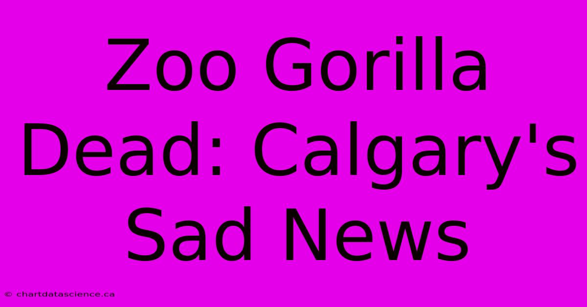 Zoo Gorilla Dead: Calgary's Sad News