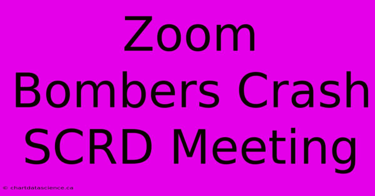 Zoom Bombers Crash SCRD Meeting 