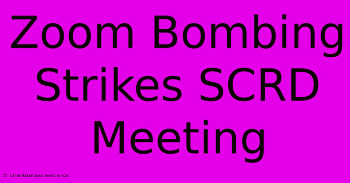 Zoom Bombing Strikes SCRD Meeting 