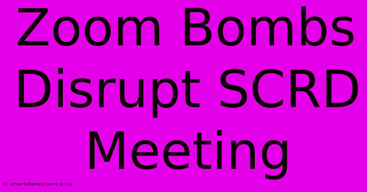 Zoom Bombs Disrupt SCRD Meeting