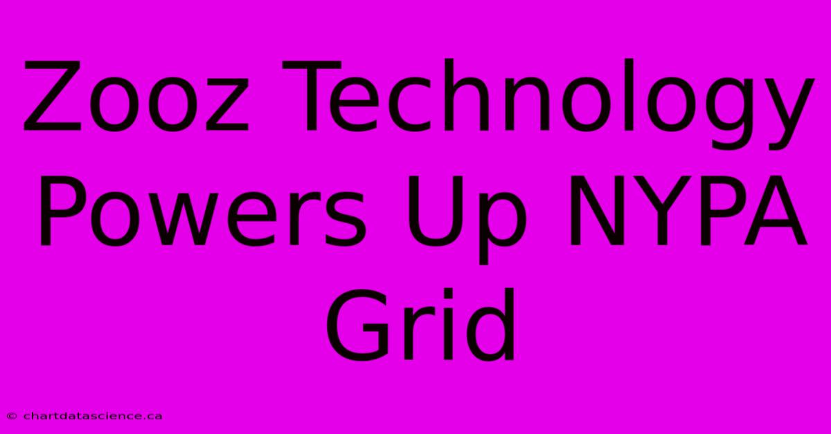 Zooz Technology Powers Up NYPA Grid