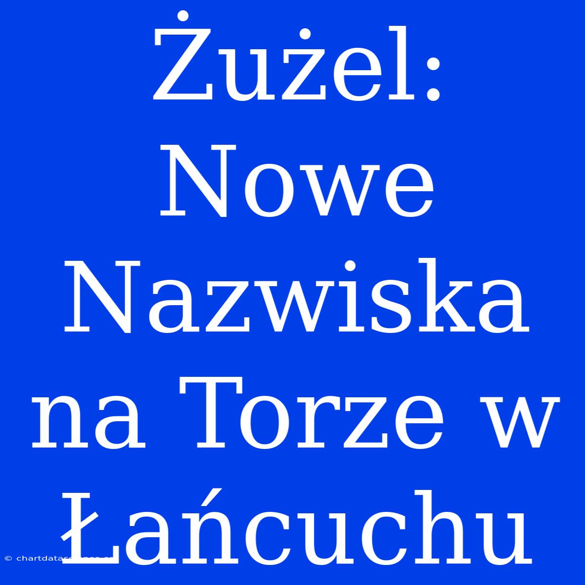 Żużel: Nowe Nazwiska Na Torze W Łańcuchu