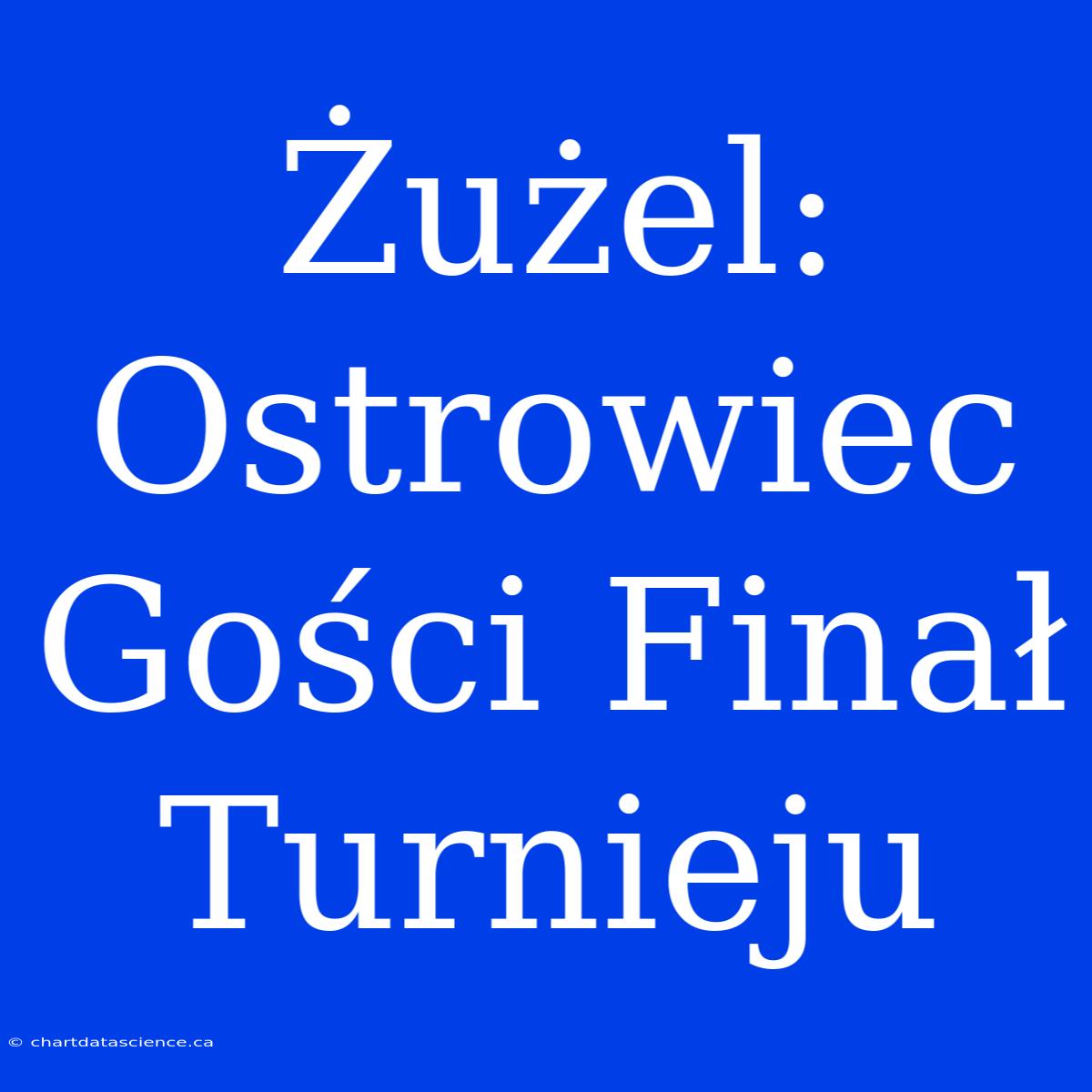 Żużel: Ostrowiec Gości Finał Turnieju