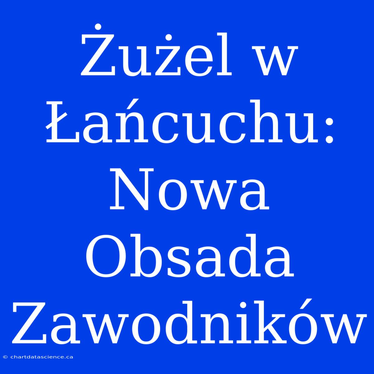 Żużel W Łańcuchu: Nowa Obsada Zawodników